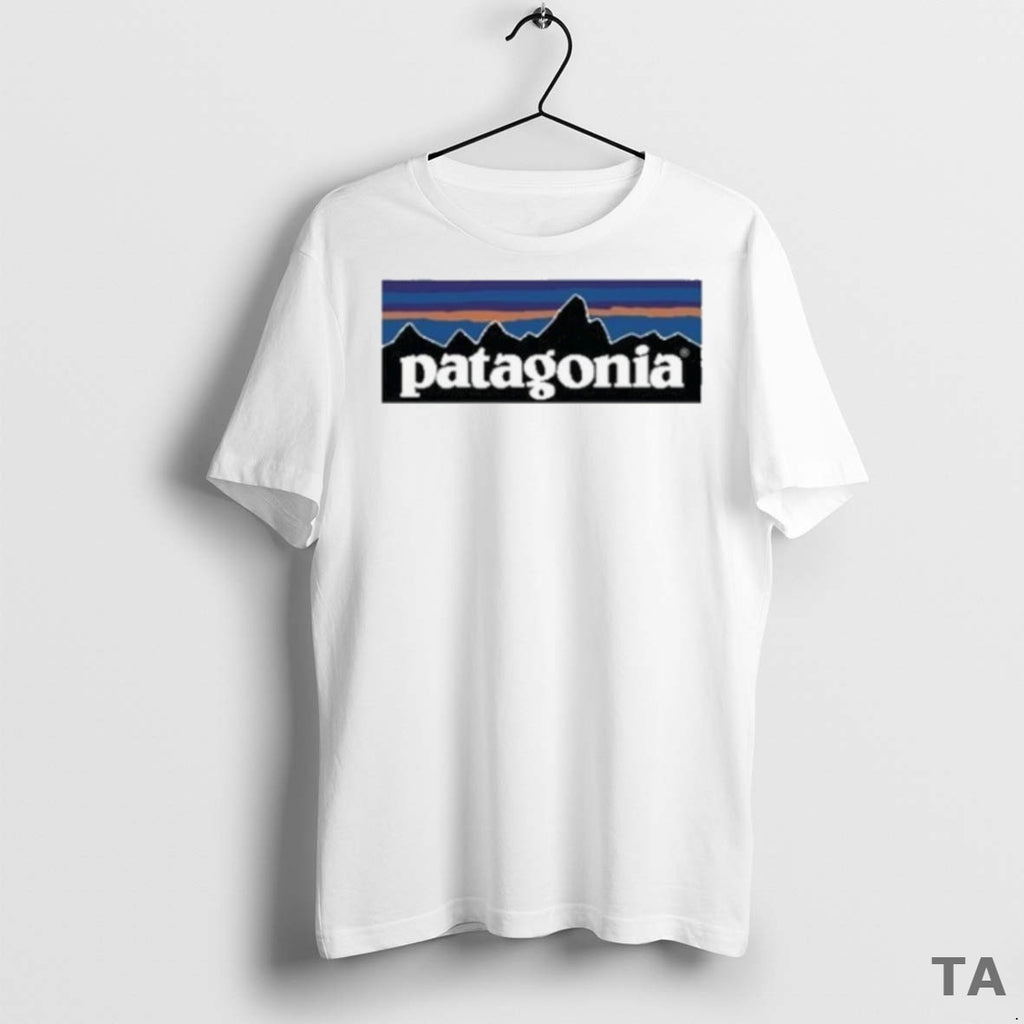Top Patagonia P 6 Logo 2025 T Shirt Sweater