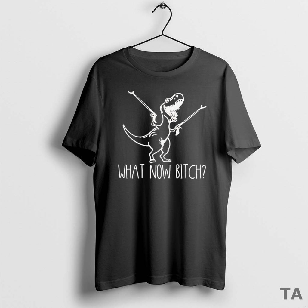 Top What Now Bitch T Rex T Shirt Sweater