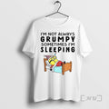 Trending Minion X Gnome Im Not Always Grumpy Sometimes Im Sleeping Christmas Premium T Shirts