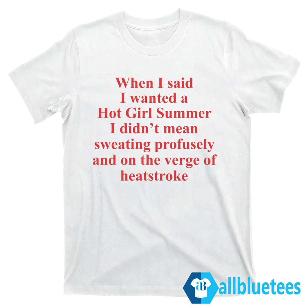 When I Said I Wanted A Hot Girl Summer Shirt