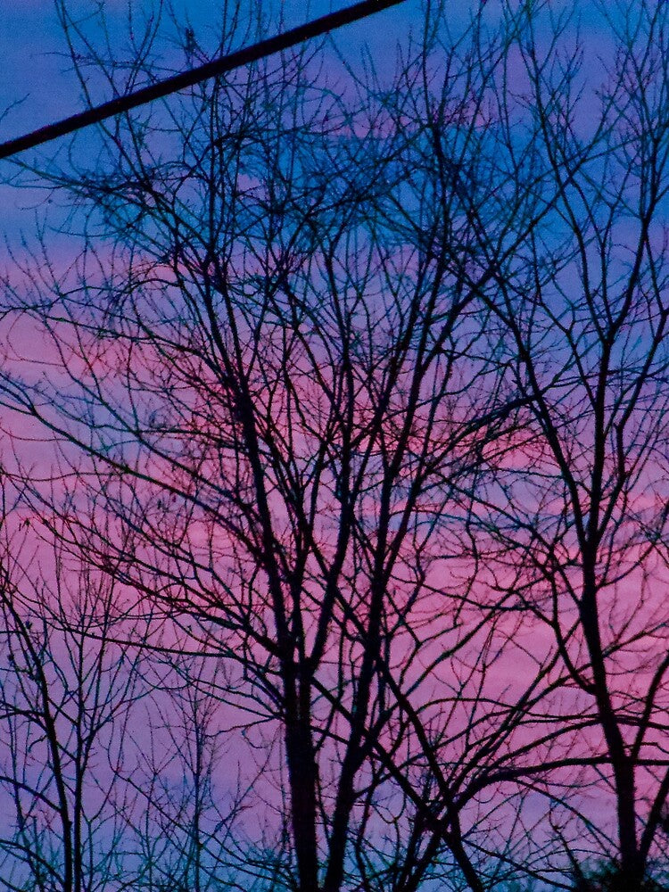 Cotton Candy above The Mountains by Ktaylorphoto