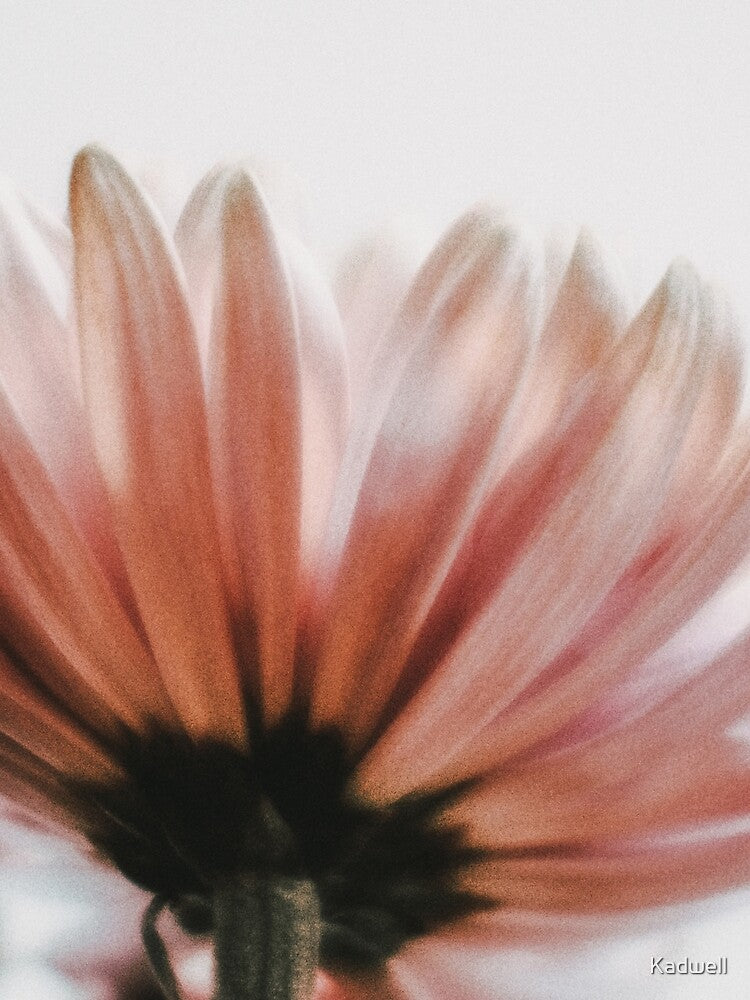 You Nearly Brought Me Flowers l Dahlia Photography by KEnzPhotography