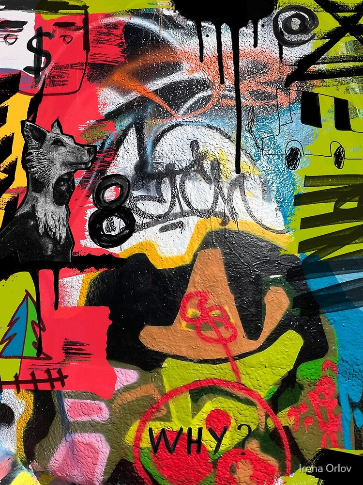 Graffiti Street Art-Why? by Irena Orlov