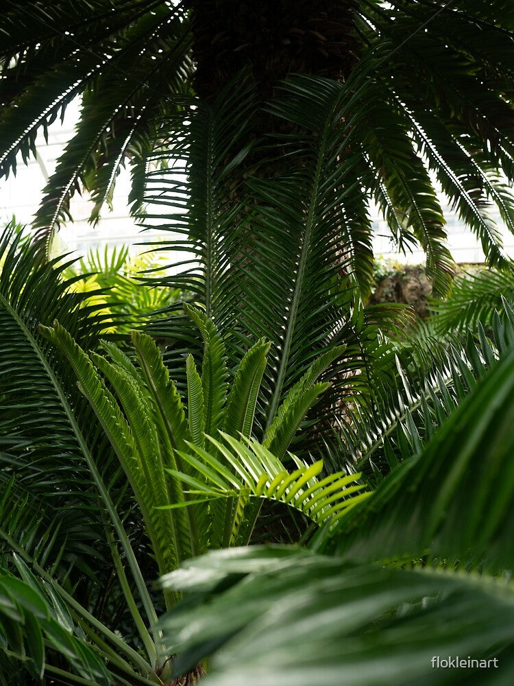 jungle by flokleinart