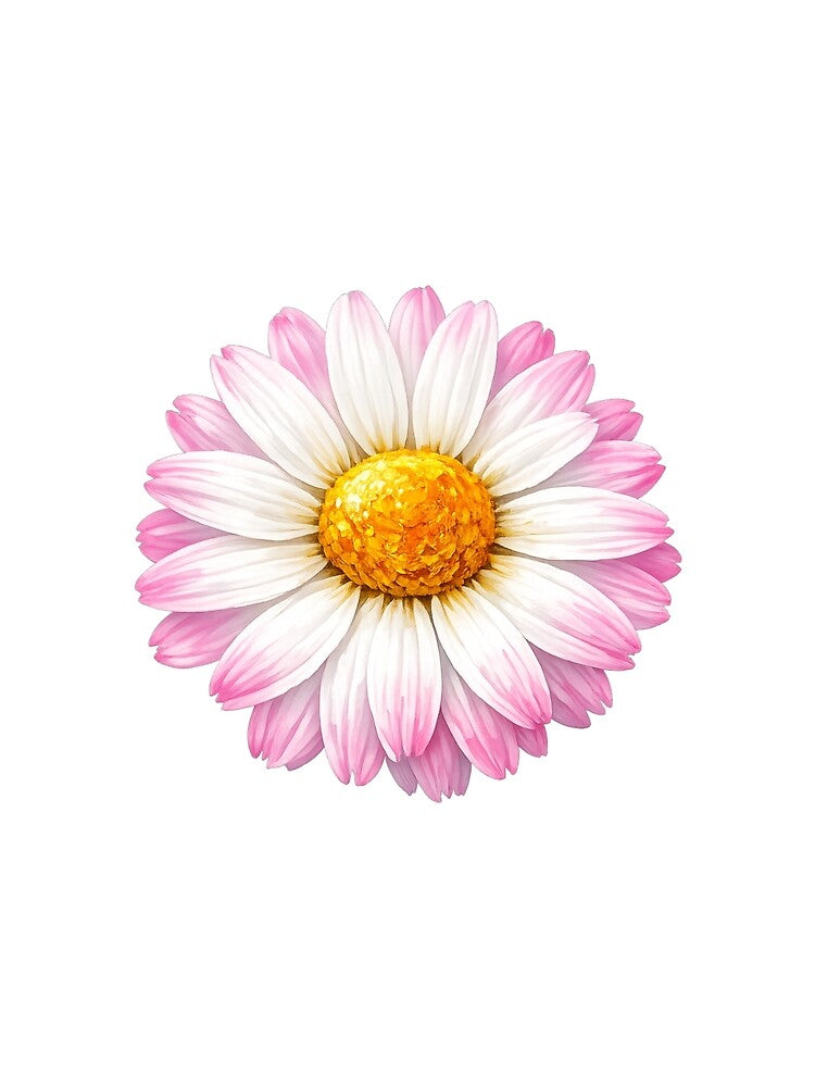 Magic Pink Daisy by MKVisions