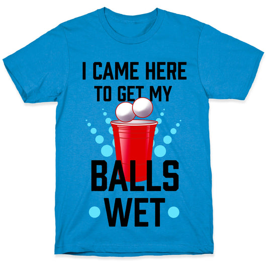I Came Here to Get My Balls Wet T-Shirt
