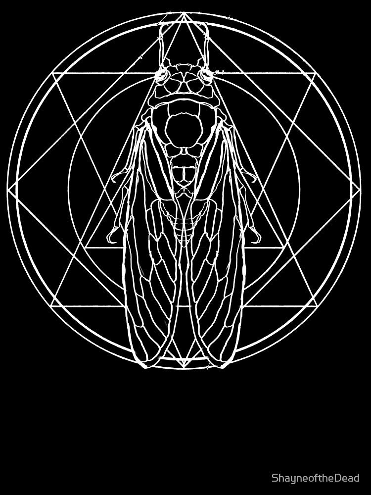 Cicada by ShayneoftheDead