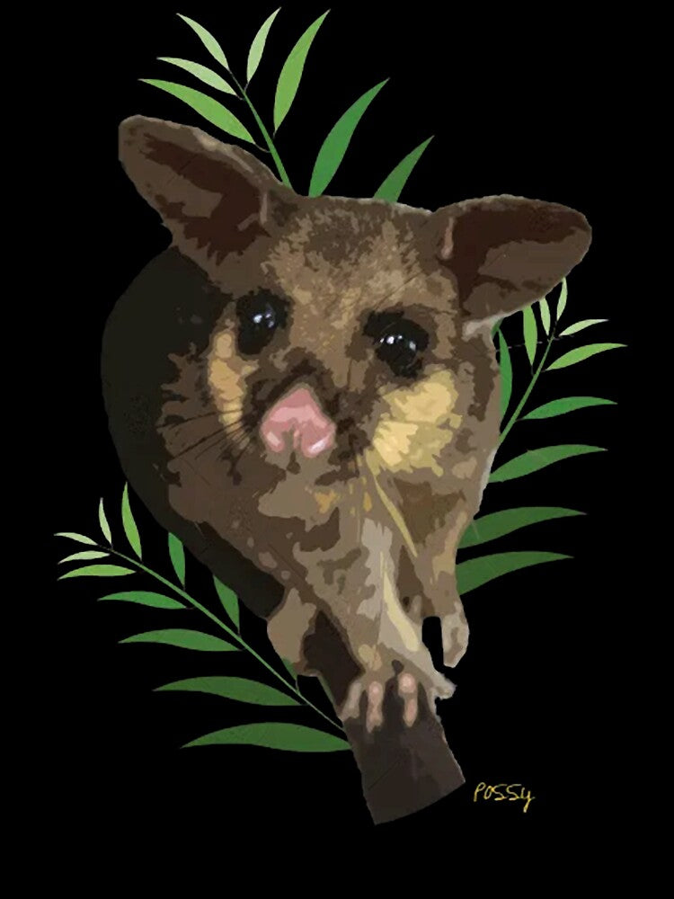 Brushtail Possum by ChrisRhea8h