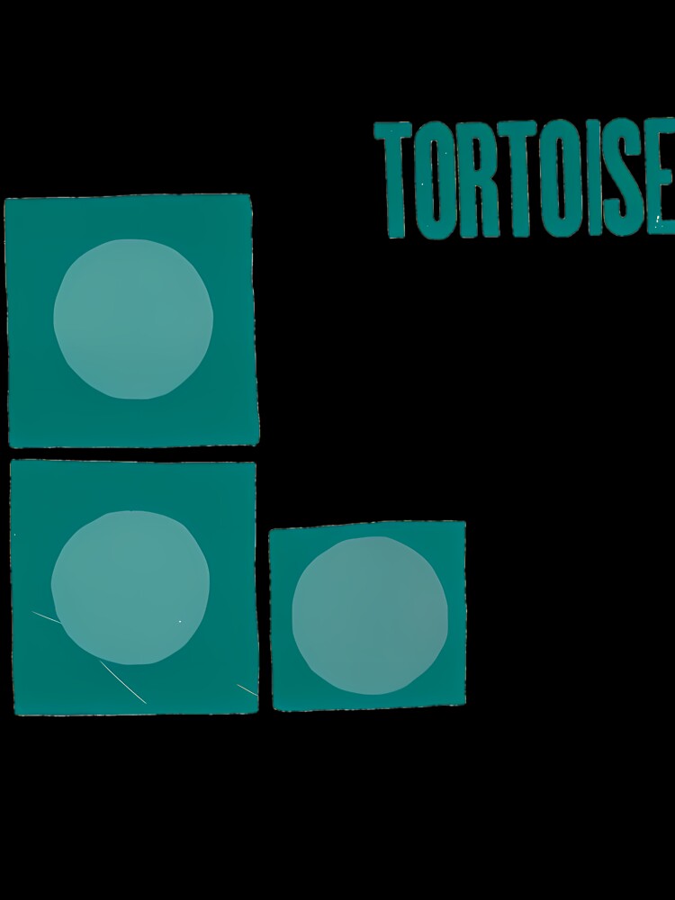 Tortoise by MeaghanOrn