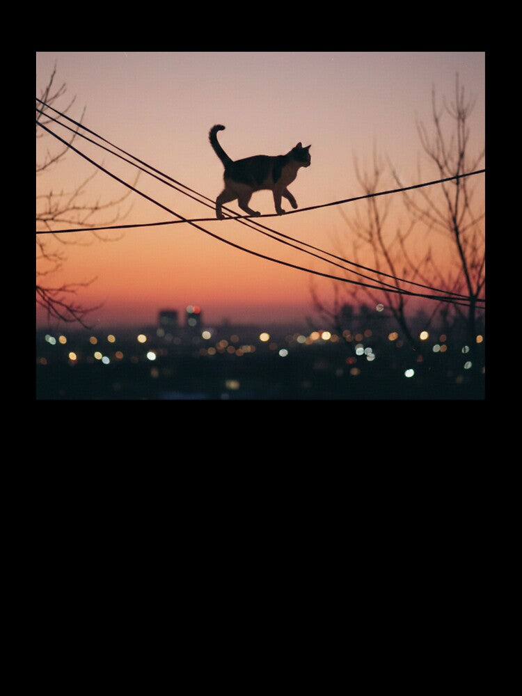 Cat at Dusk by Miryou