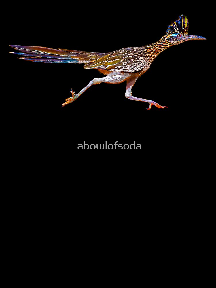 Roadrunner Running by abowlofsoda