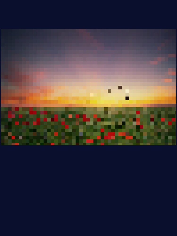Pixelated Rose Field Sunset Scene by Potato Quality Prints