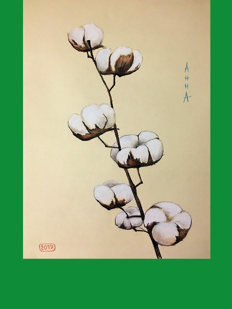 Cotton, cotton blooming, cotton flower by Ranisha