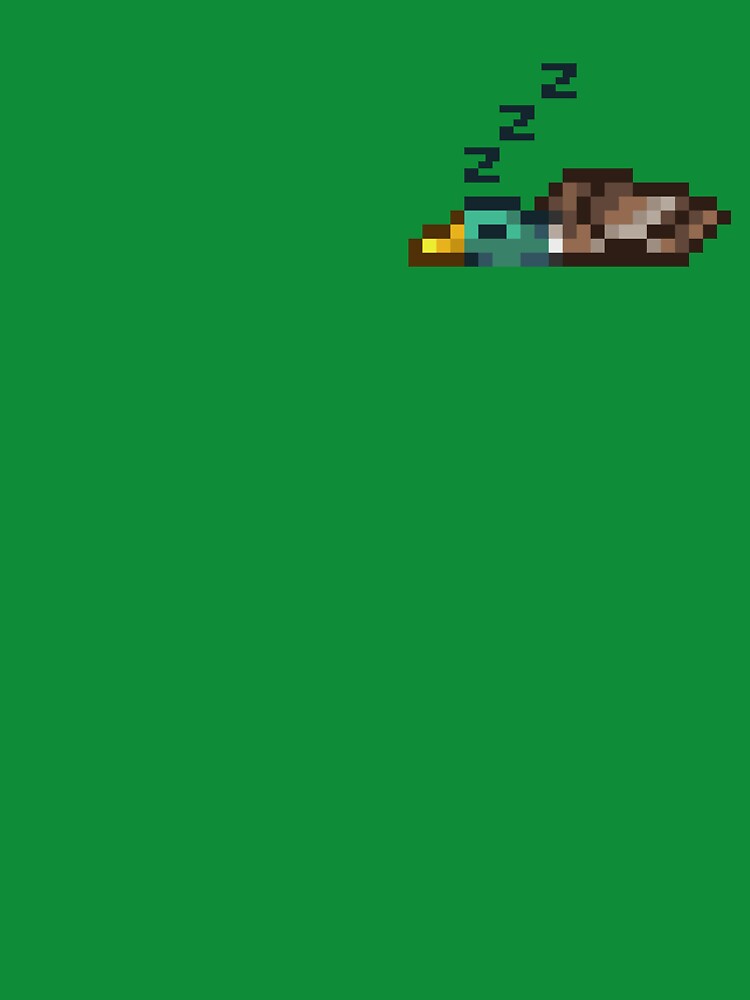 Terraria Sleepy Duck by RellimEloc