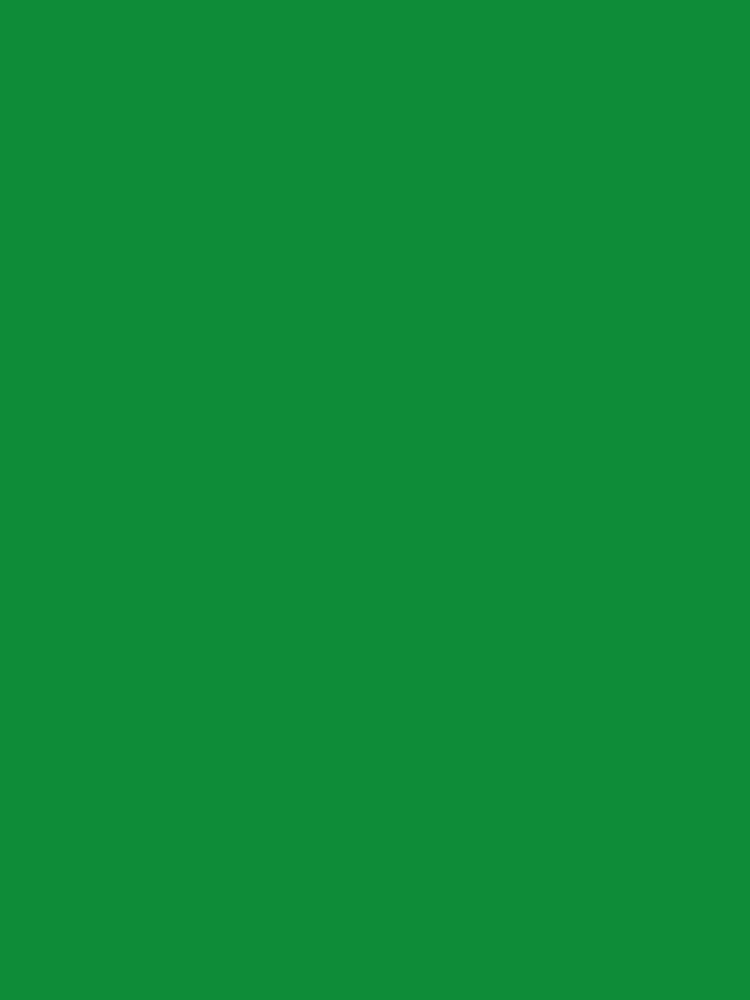 WGUSA Clothing, Green Backpack. by We're Girls USA