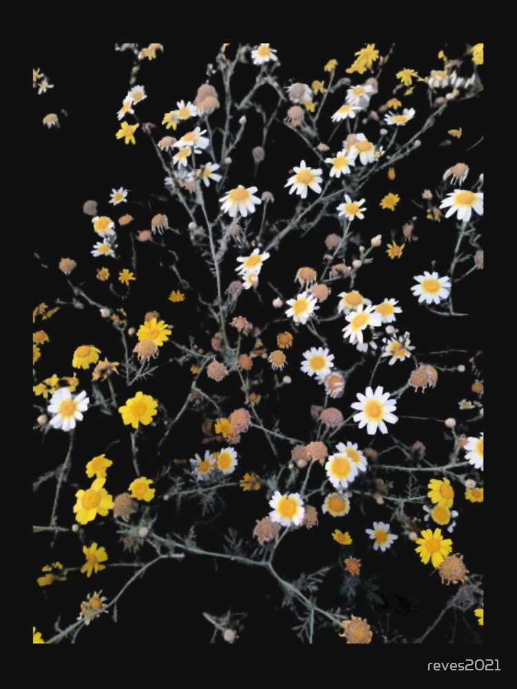 Pressed Flowers by reves2021