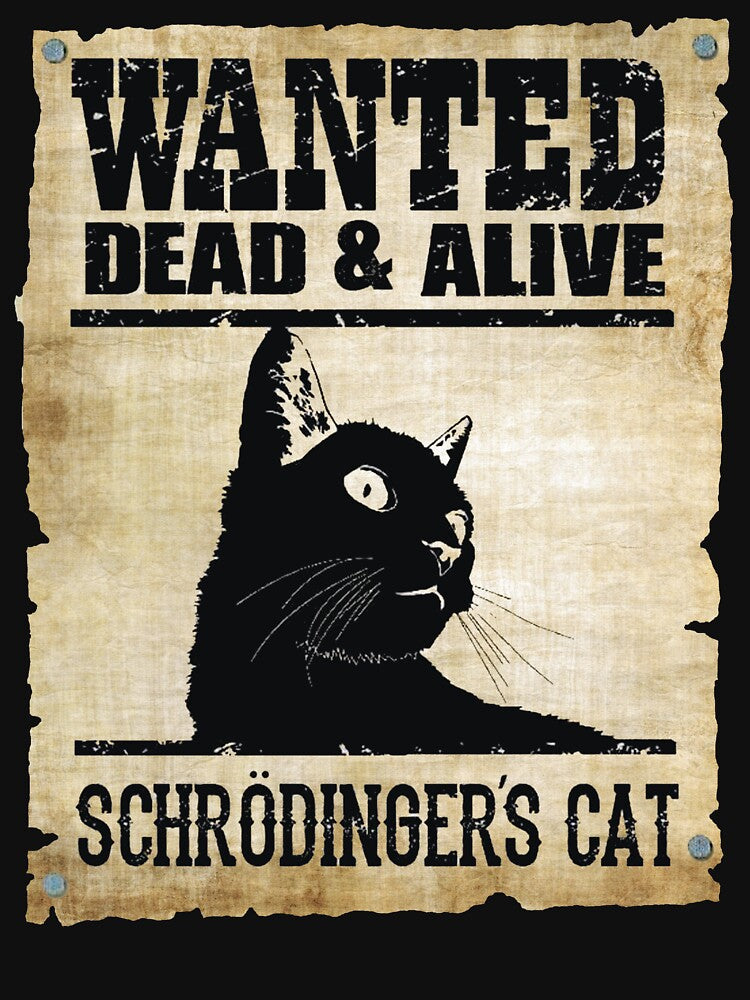 Schrodinger's Cat Poster by Fairyjam