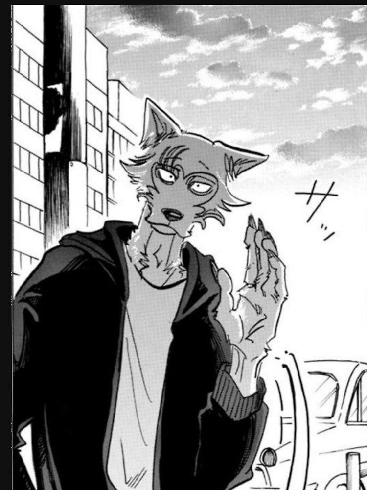 Beastars Legoshi by Rayka0