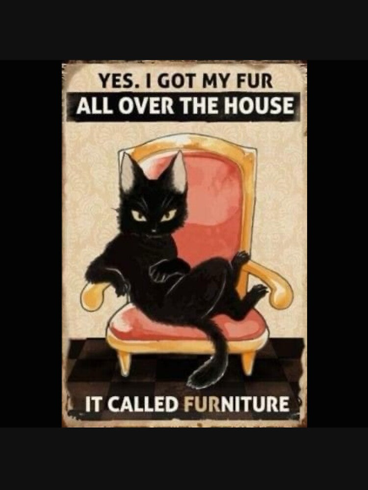 Furniture by RainbowChild80