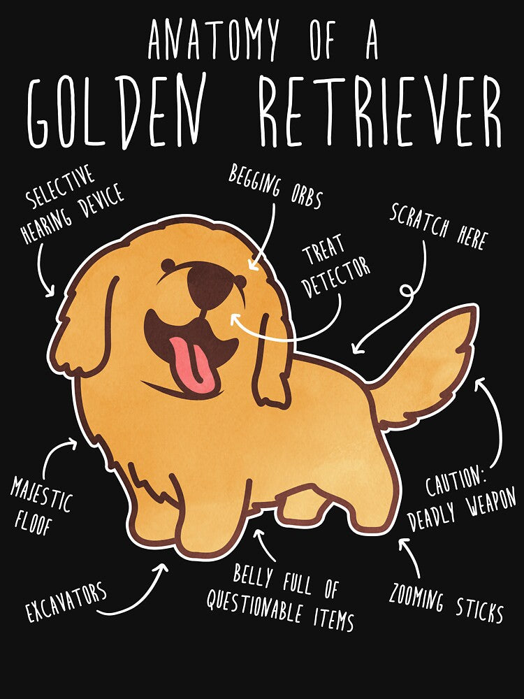 Golden Retriever Anatomy by Clara Hollins