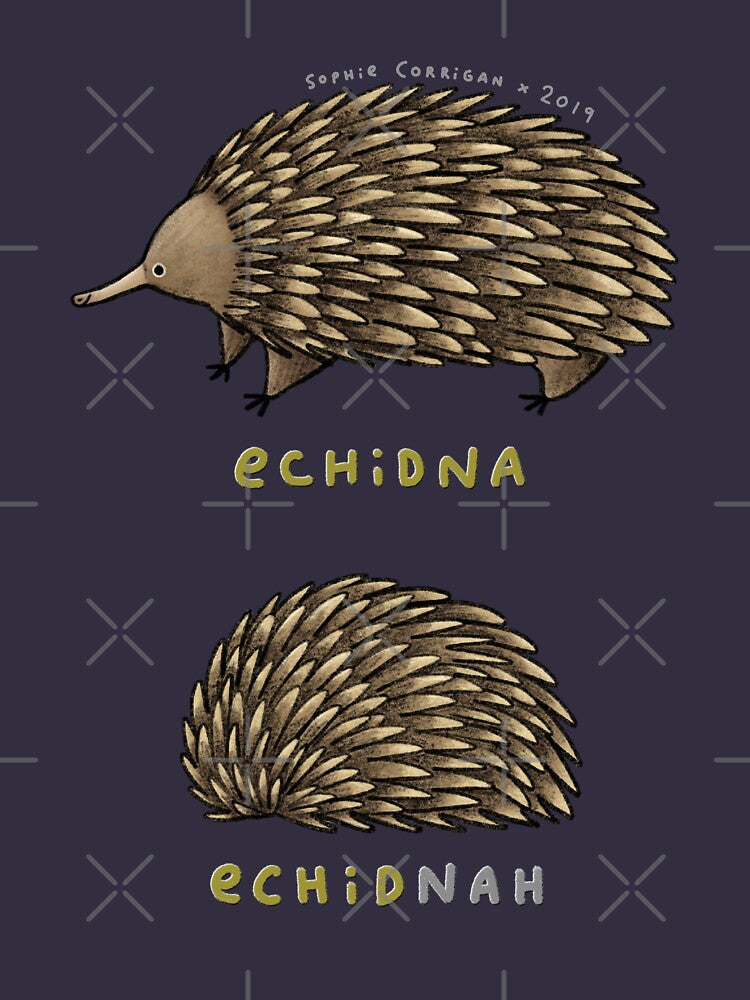 Echidna Echidnah by SophieCorrigan