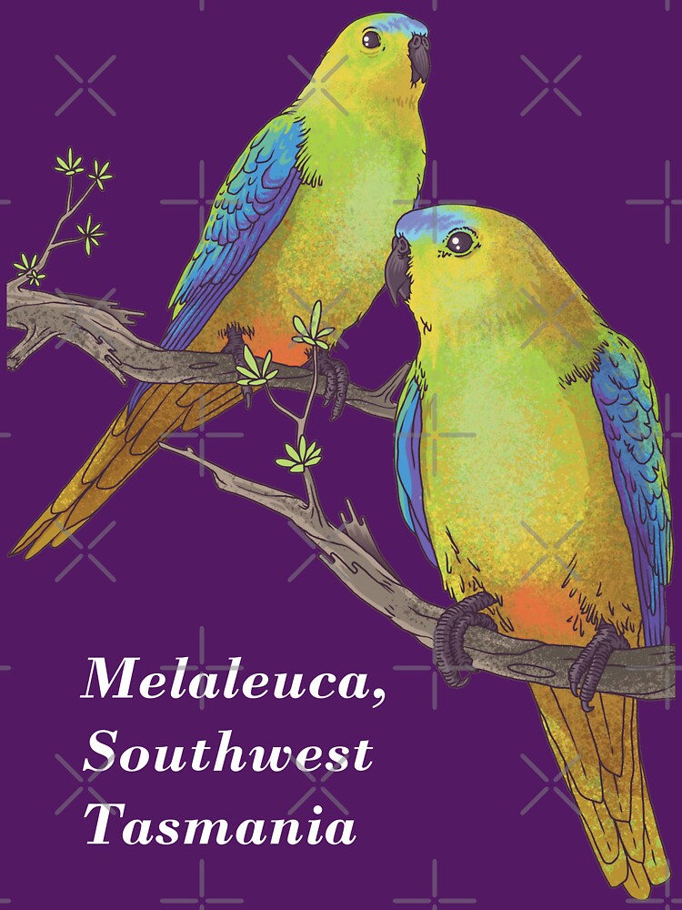 2 OBPs (b) Melaleuca t-shirts | dark by Friends-of-OBP