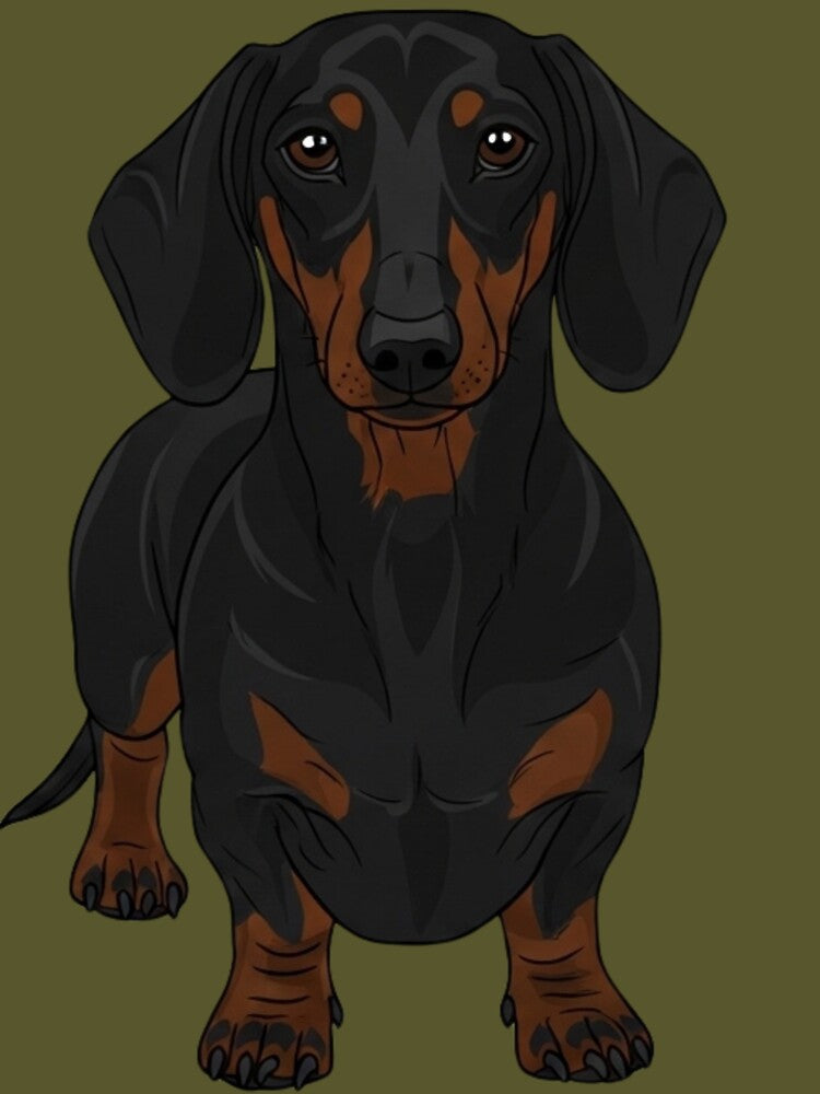 Dachshund by saphira-art