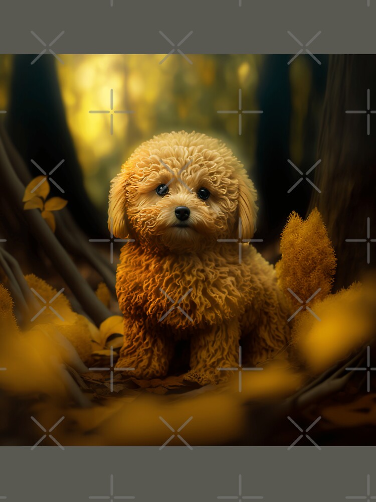 Through Wandering Eyez- Golden Series- Maltipoo 1 by 4-Tha-Wandererz