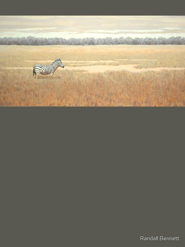 Lone zebra on grassy plain by Randall Bennett