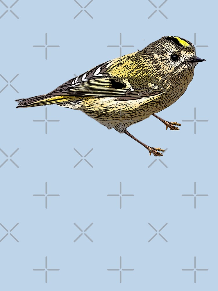 Goldcrest Color Design by designsasstultd