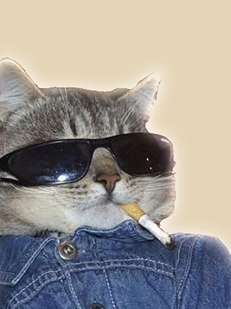 cat of smonk cig by theReagster