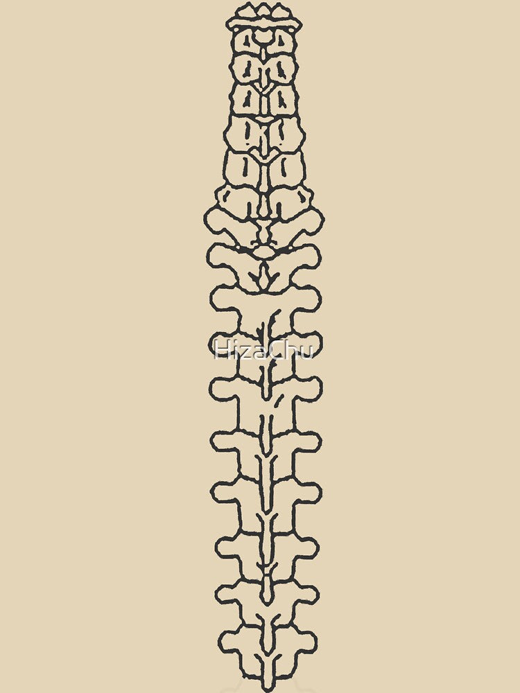 VERTEBRAE IN DARK by HizaChu