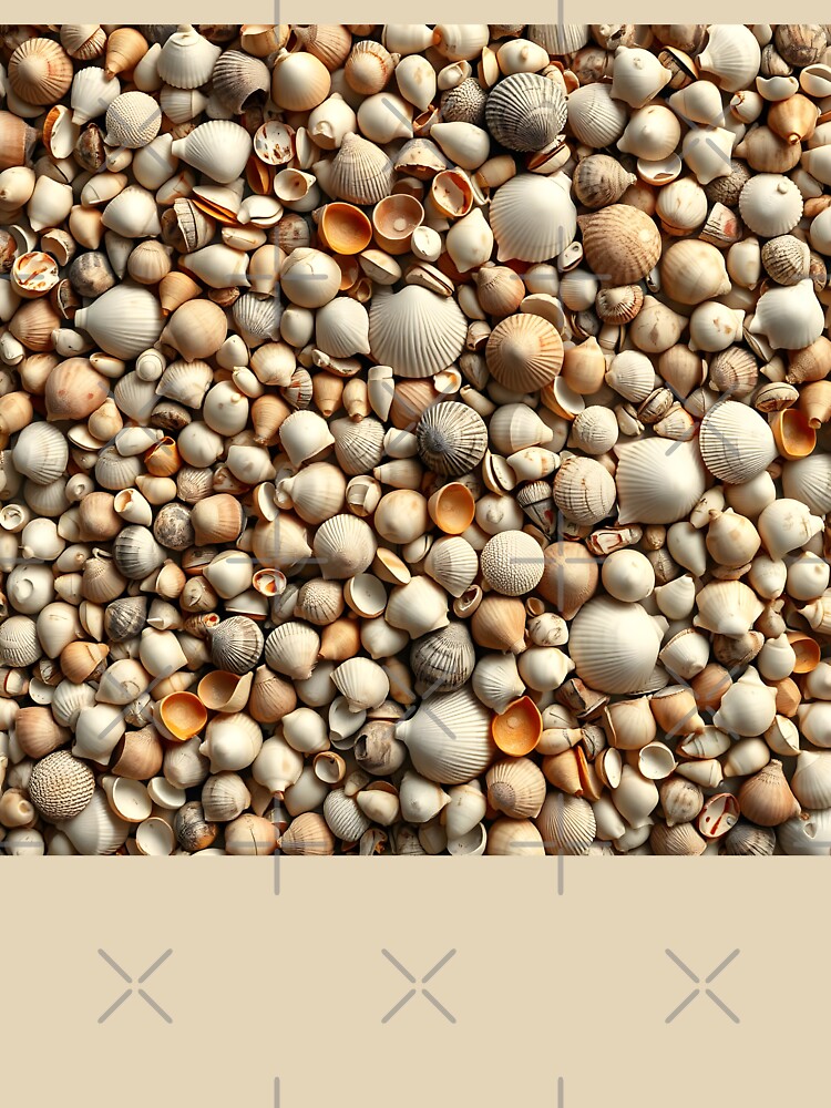 Shell 2 by HebaRK Studio