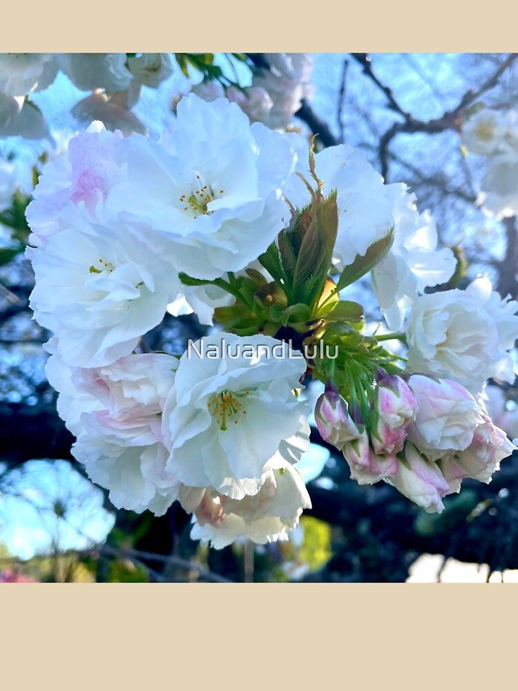 Soft Blossom - Emerald by NaluandLulu