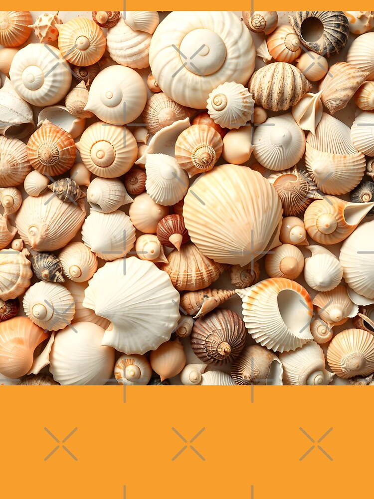Shells 4 by HebaRK Studio