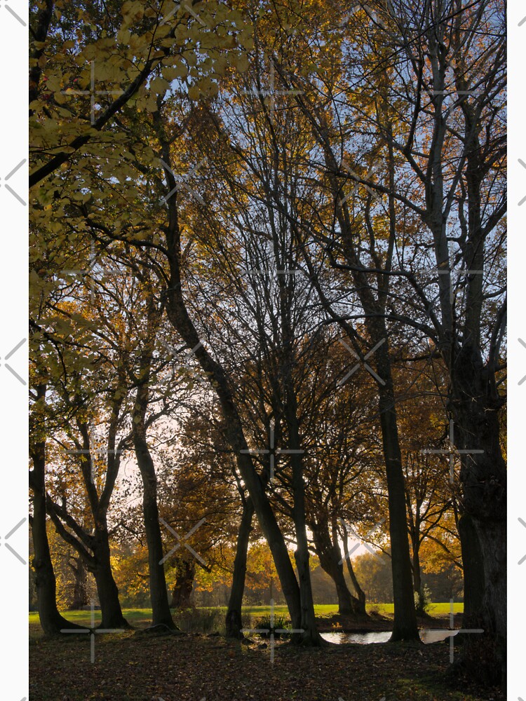 The sweet taste of autumn by iam01110011