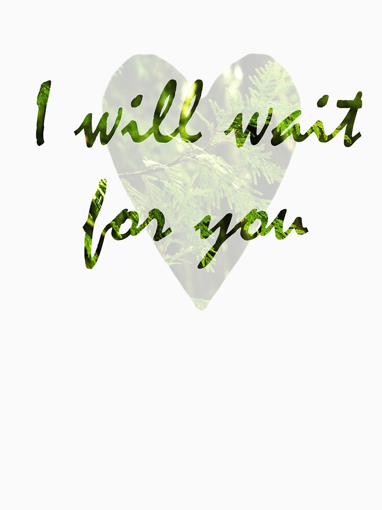 I Will Wait by starwhale97