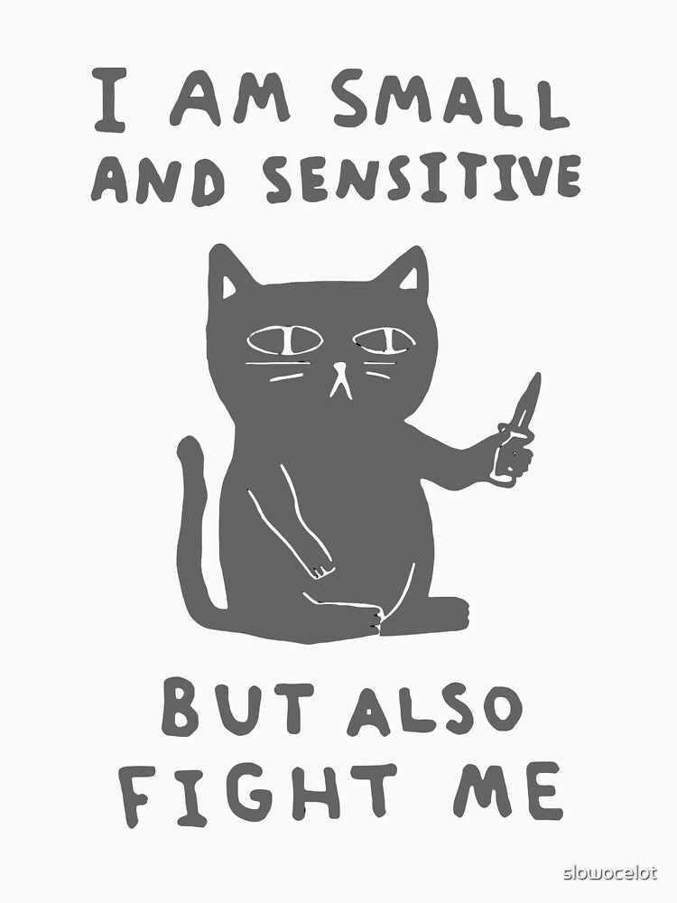 Funny Cat by slowocelot