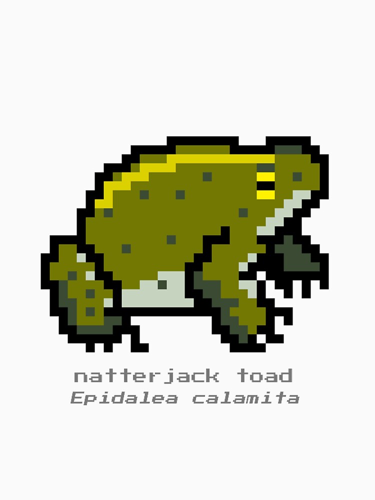 Pixel Natterjack Toad by CheesyBugShop