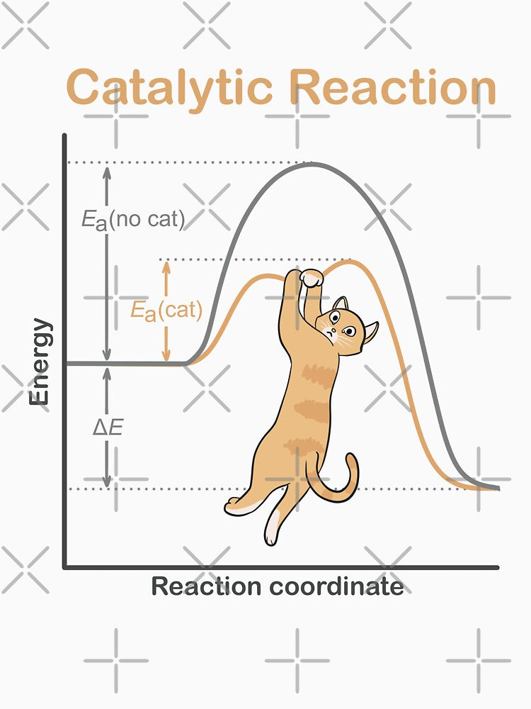 Catalytic Reaction by Science Lab Designs