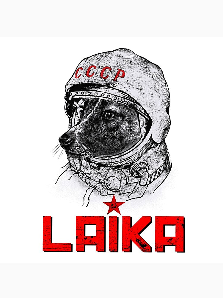 Laika - An Astronaut by skeierleber4327