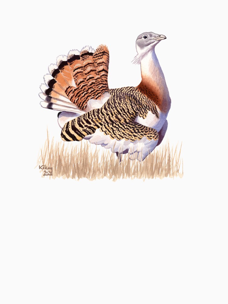 Great Bustard by kokayart