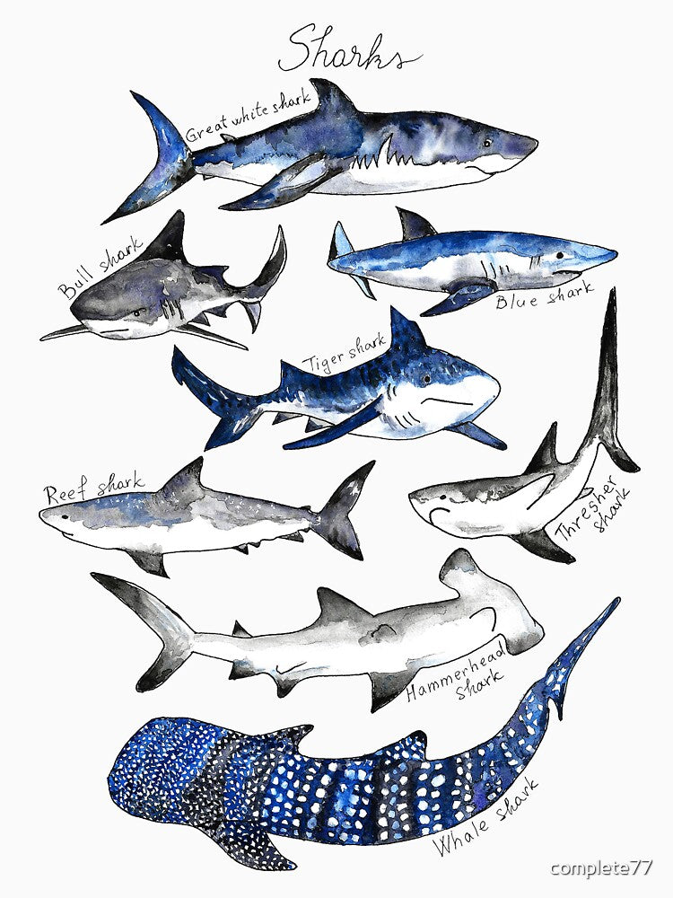 Sharks Watercolor Chart by complete77