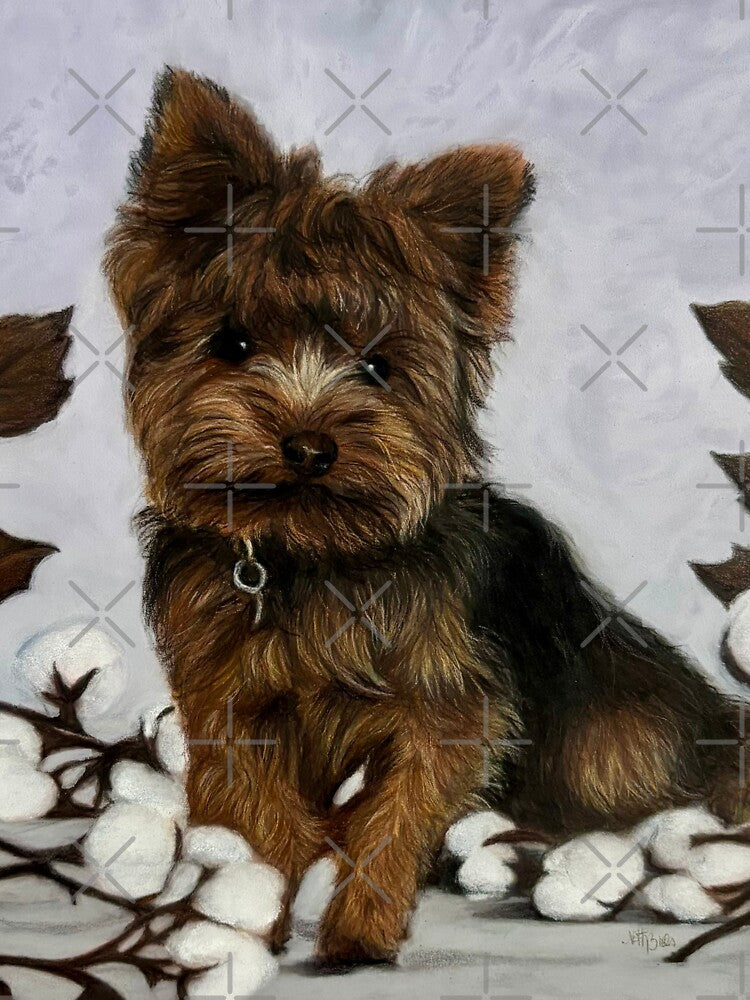 Cute little Yorkshire by NathBros