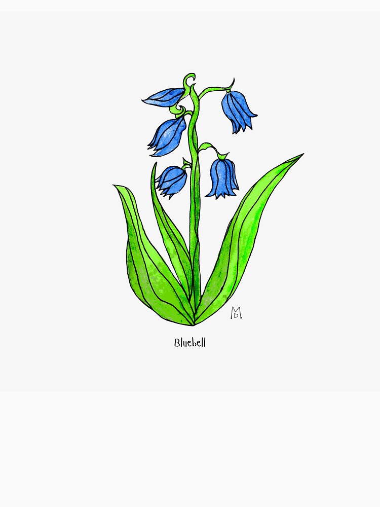 Bluebell by MagpieDiamond