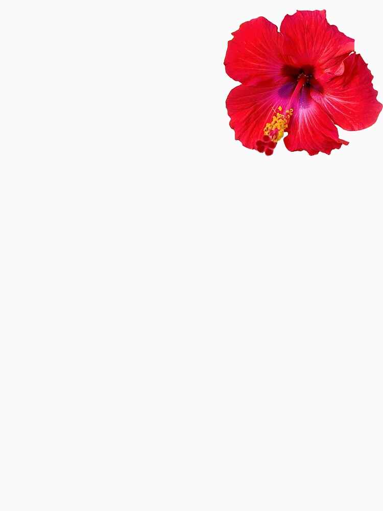 Red Hibiscus Flower by AlohaLeeKim