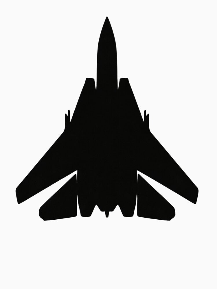 F-14 Tomcat Fighter Jet Silhouette | US Navy Carrier Aircraft Aviation Design by OFF-CTR