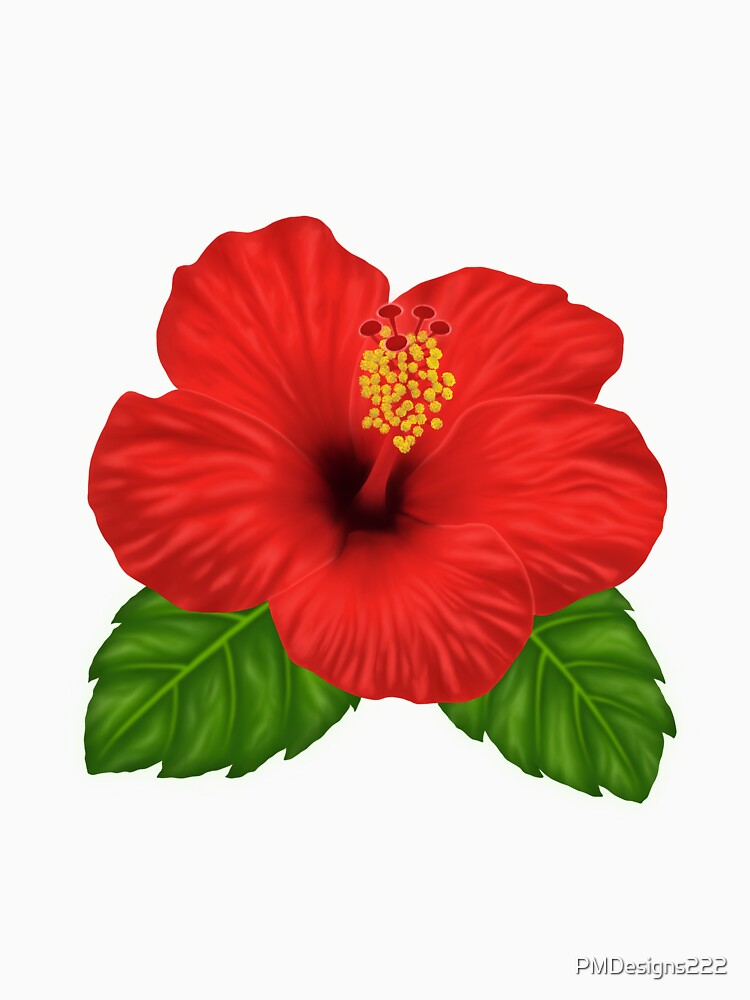 Red Hibiscus flower by PMDesigns222