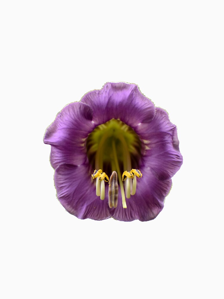 Purple Flower PNG by StylishDecor