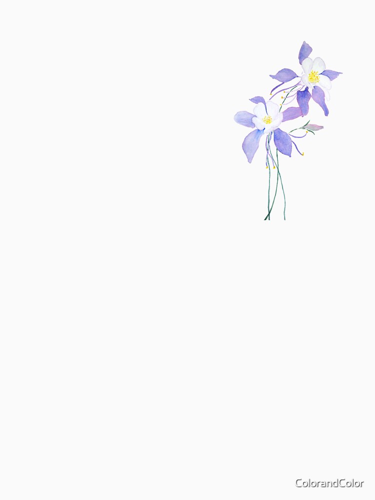 hand painted  purple wild flower columbine flower watercolor by ColorandColor